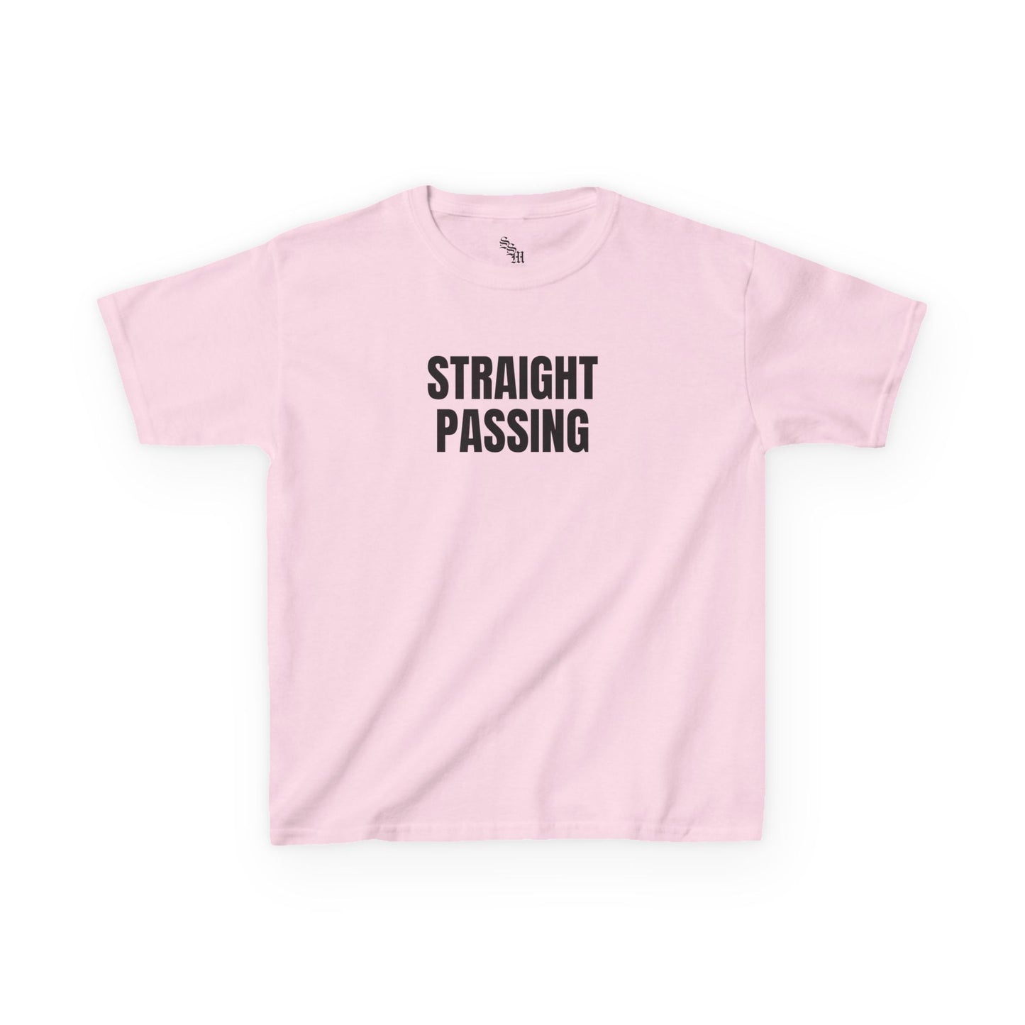 Straight Passing LGBTQ+ Baby tee